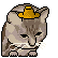 :Strawhatcat: