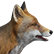 :dpglsfox: