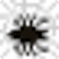 :SpookySpider: