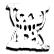 :koktimer: