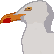 :cosygull: