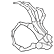 :boneOk: