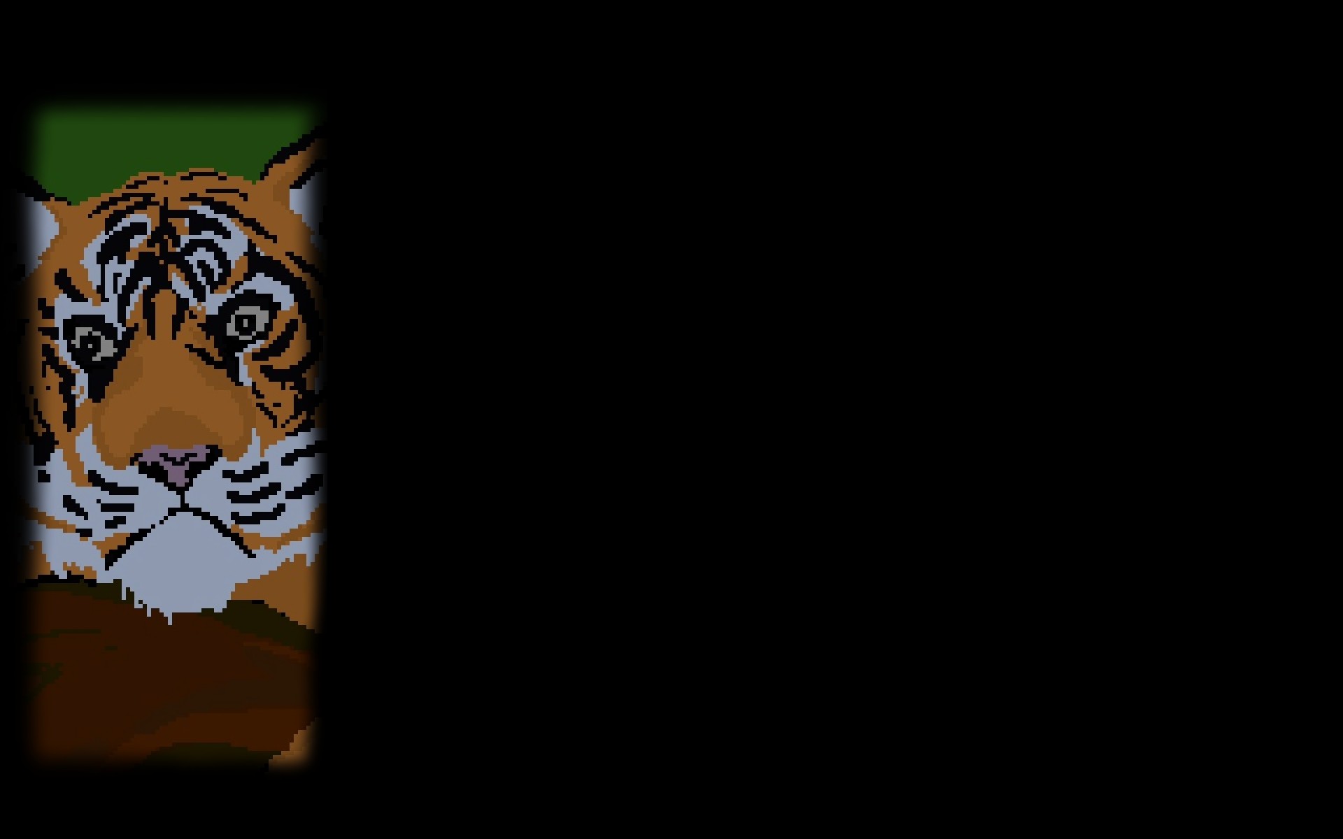 Sumatran Tiger