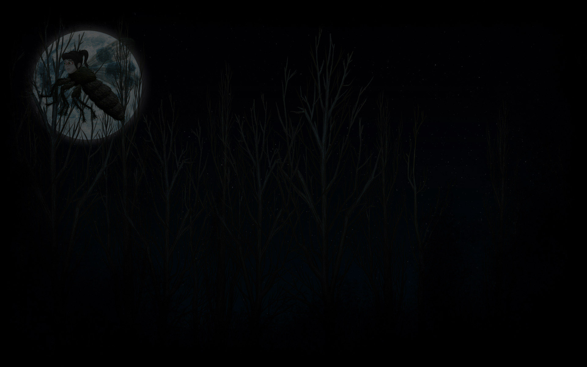 Forest night