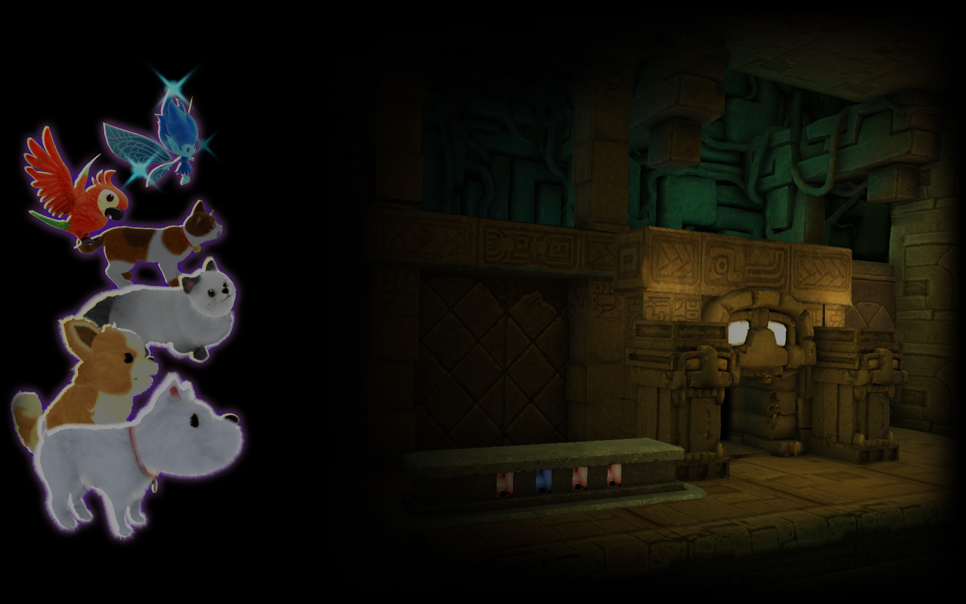Pet Party Background