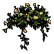 :citrustree:
