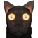 :arcadiaCat: