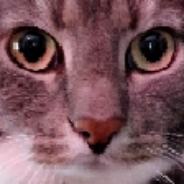 Miksu Cam