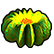 :coral_emote: