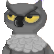 :Barn_Owl: