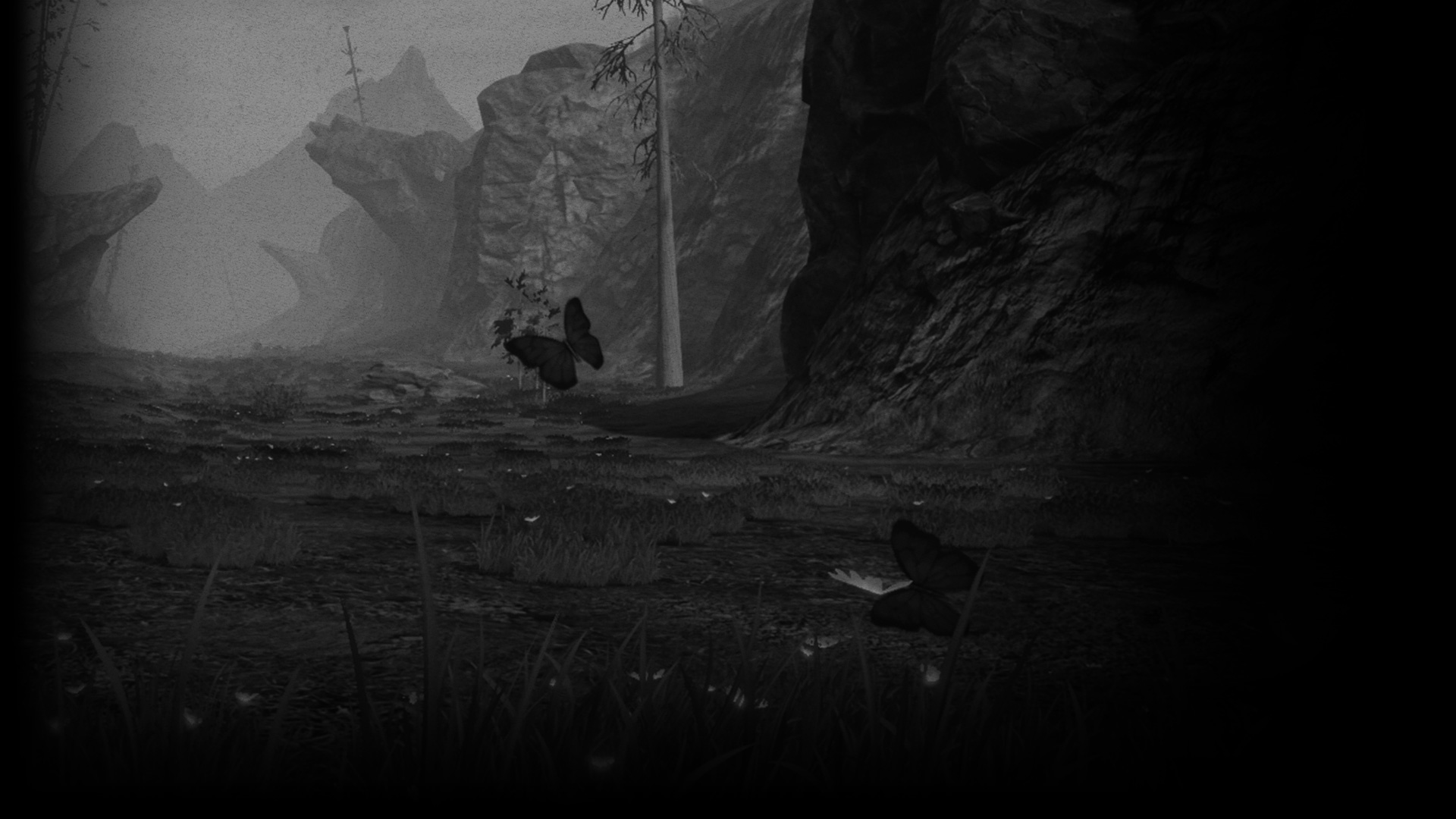 Valley