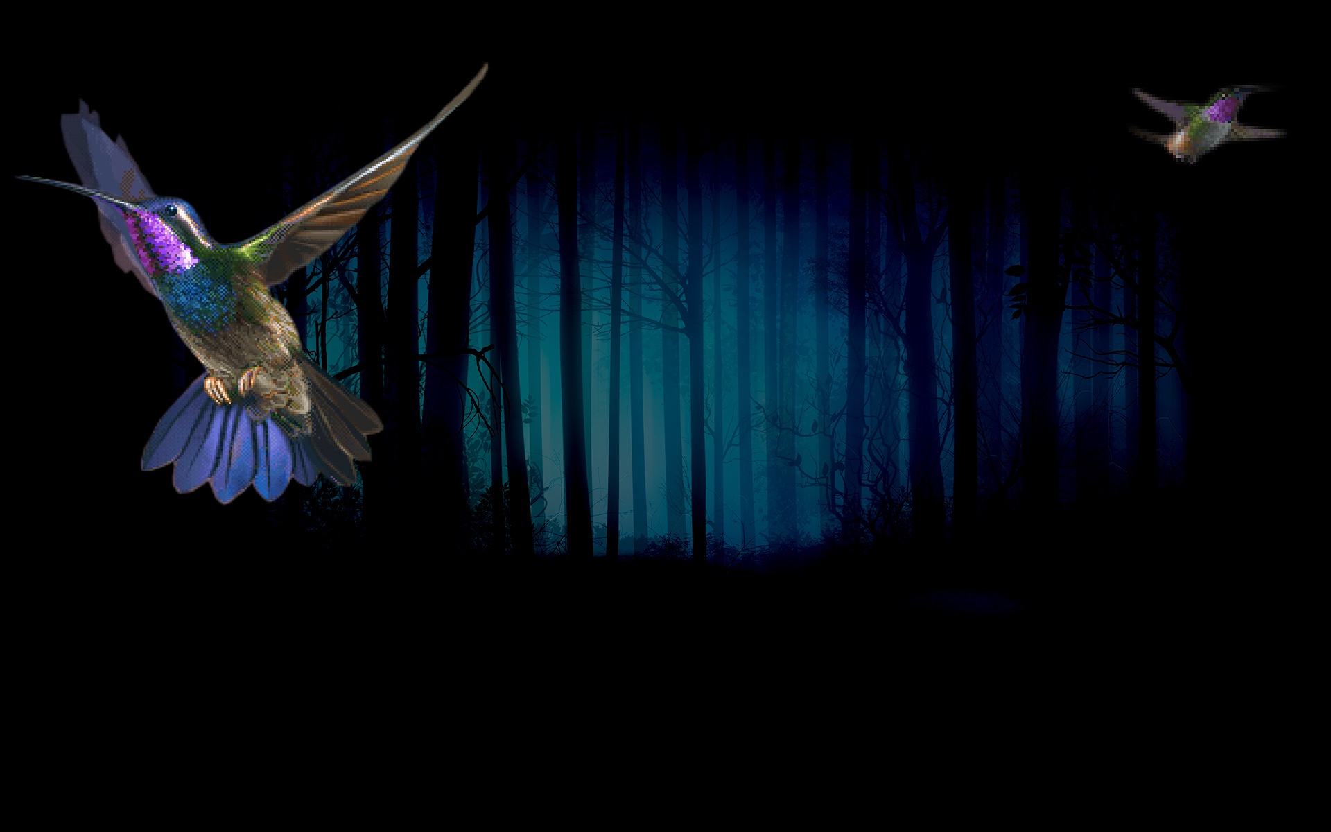 Kolibri