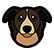 :cyberdog: