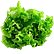 :clifflettuce: