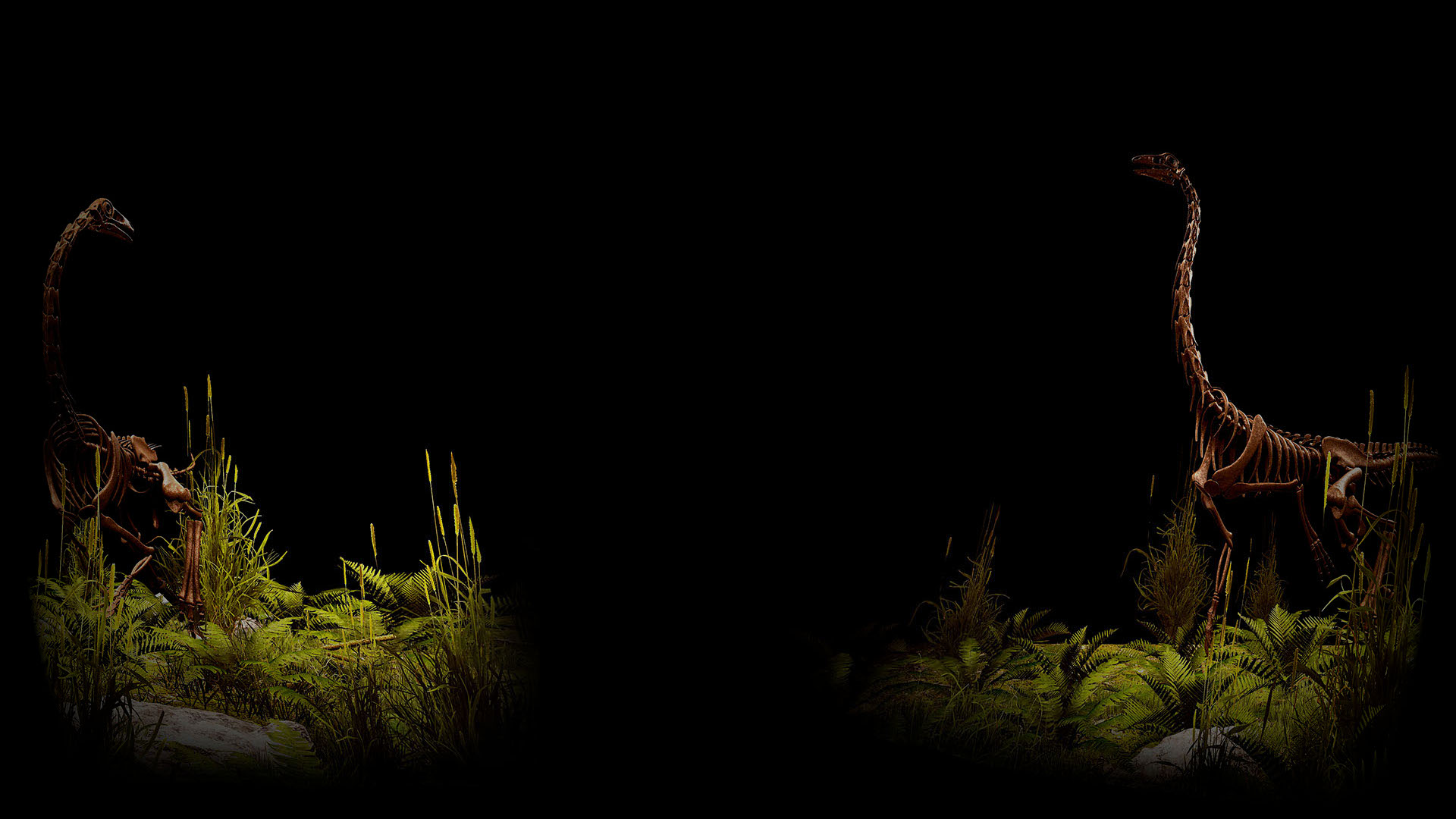 Ornithomimus Background