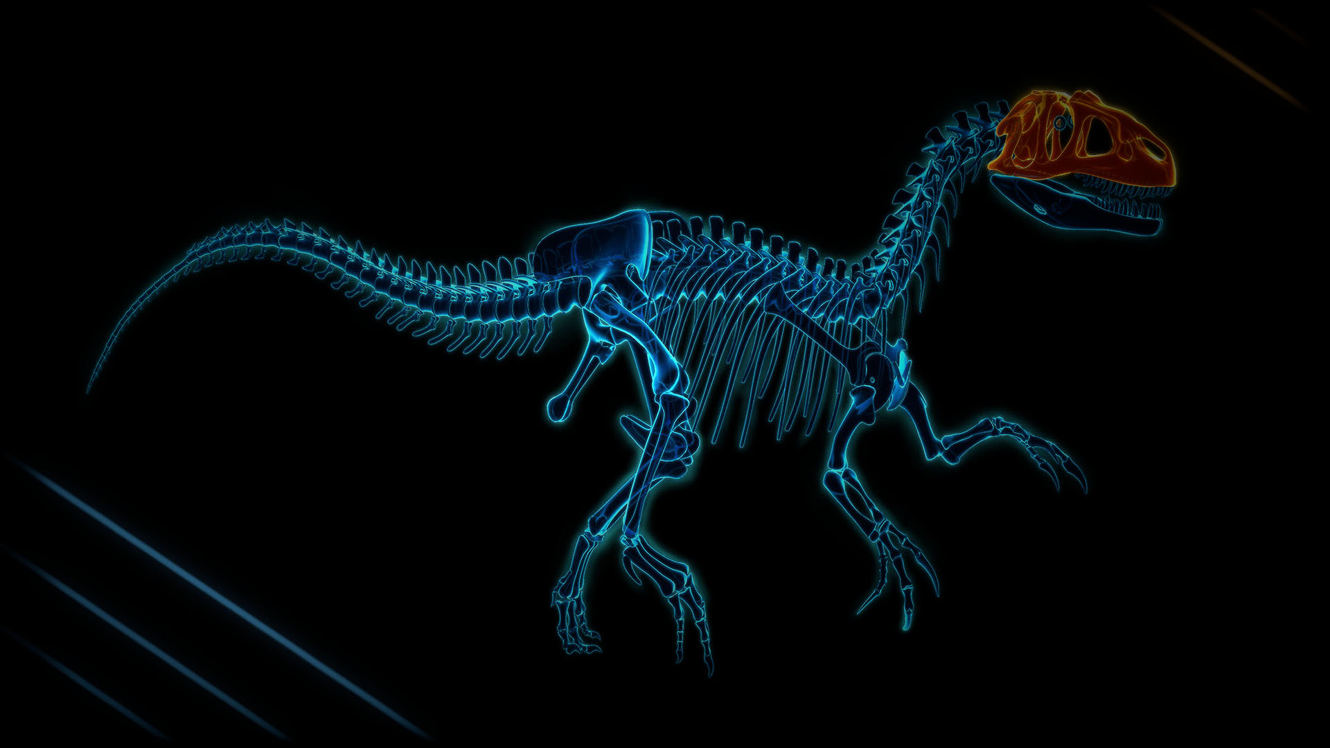 XRAY Dino Background