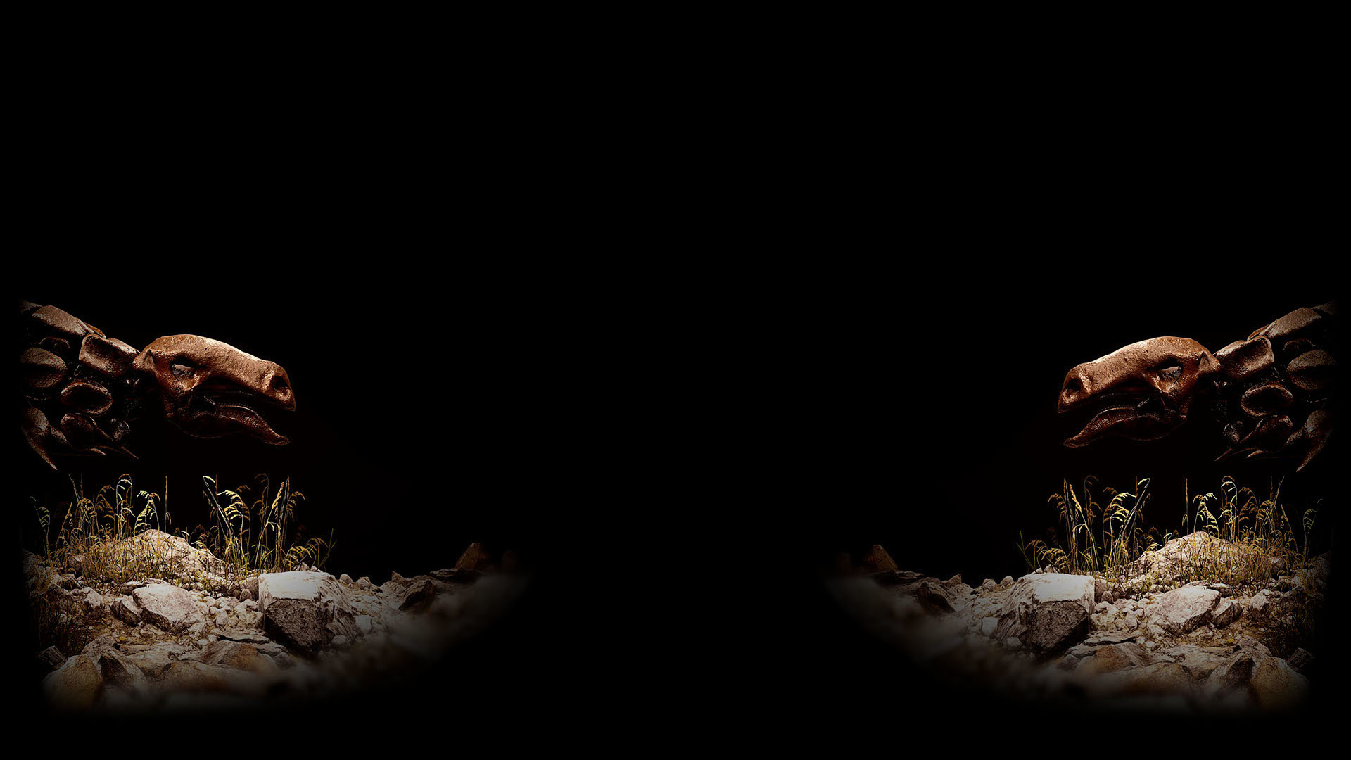 Double Dino Background