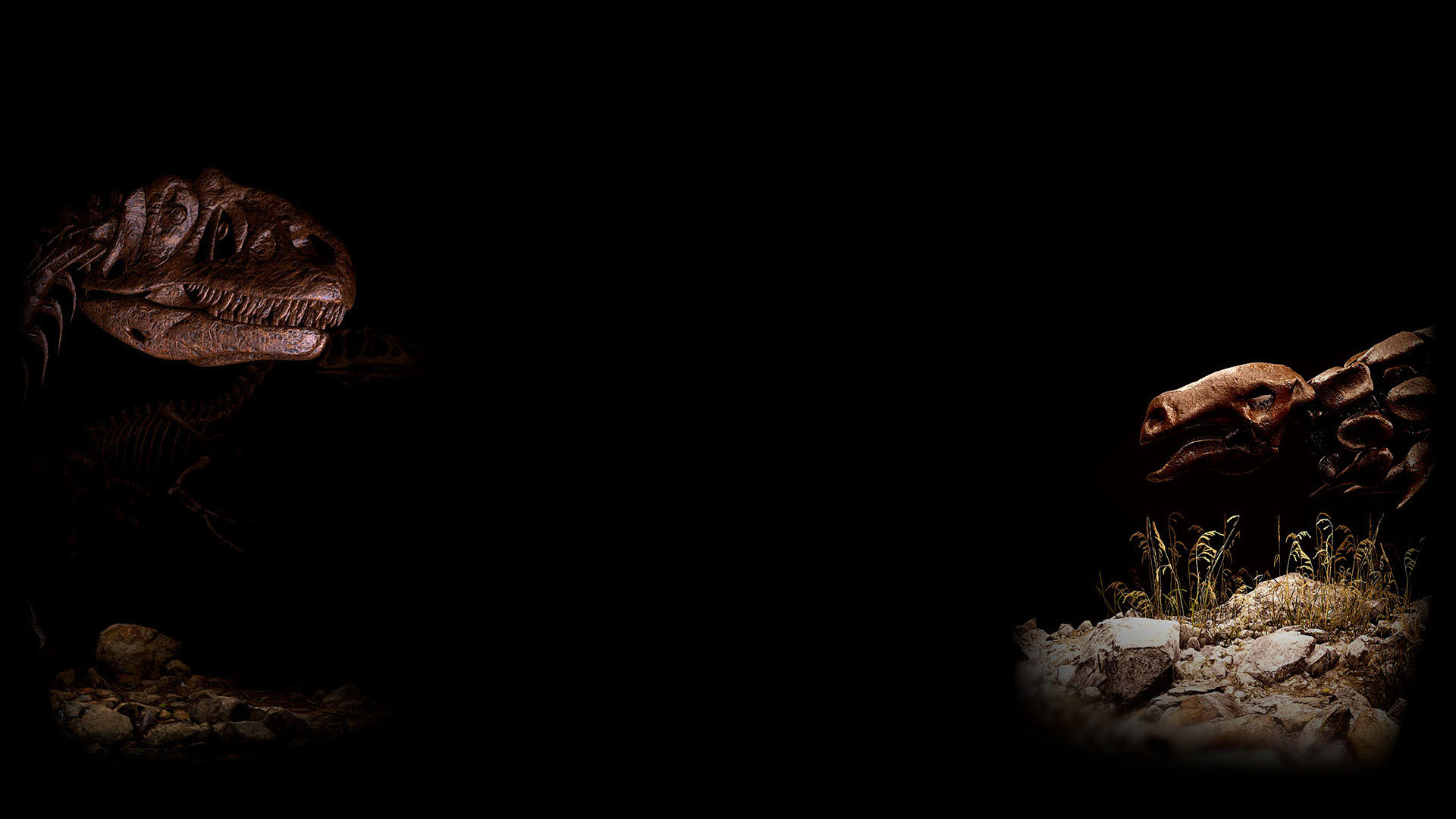 Dinosaurs Background