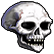 :wastelandskull: