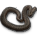 :Little_Snake: