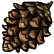 :Pine_cone: