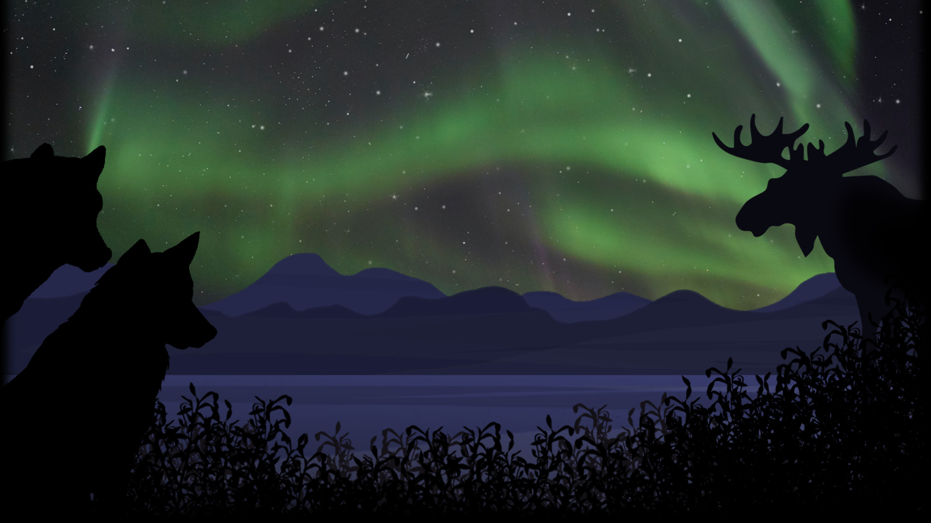 Dream Aurora