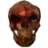 :deadhead: