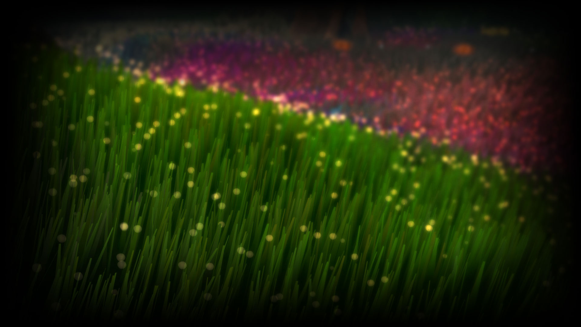 Field