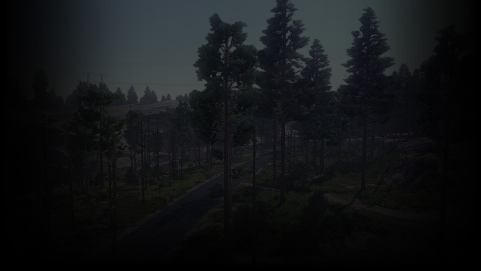 The peace and quiet of the woods