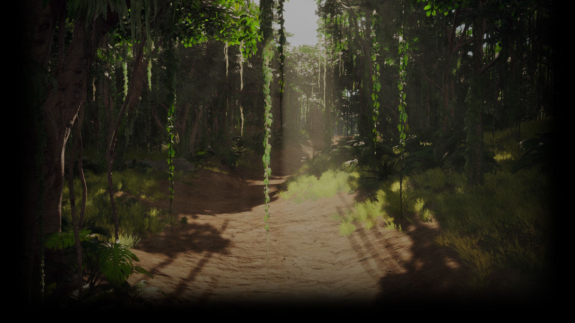 Jungle