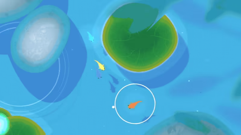 Koi video 2
