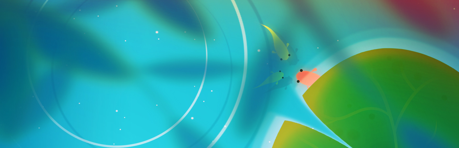 Koi