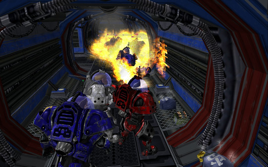 Thumbnail 11