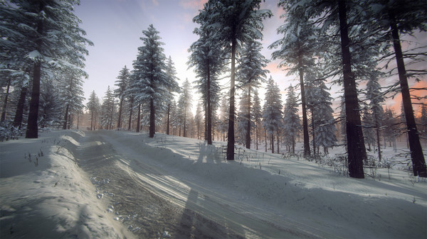 DiRT Rally 2.0 - Sweden (Rally Location)