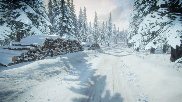 DiRT Rally 2.0 - Sweden (Rally Location)