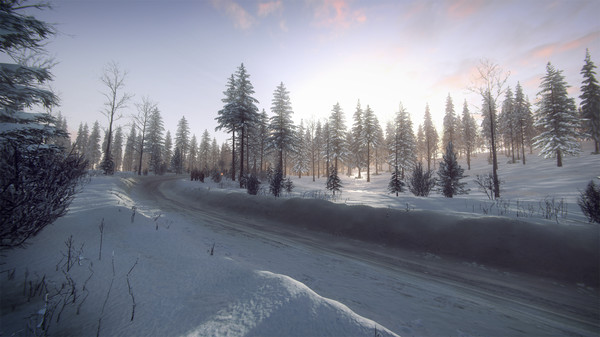 DiRT Rally 2.0 - Sweden (Rally Location)