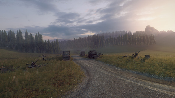 DiRT Rally 2.0 - Wales (Rally Location)