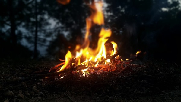 Les 4 Alice: Lorange Journey (Extra) screenshot 3