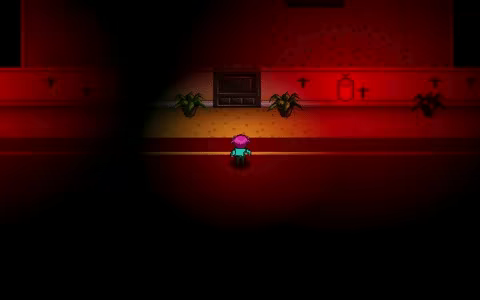 The Chills video 3