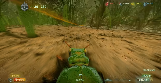 Insect Worlds video 2