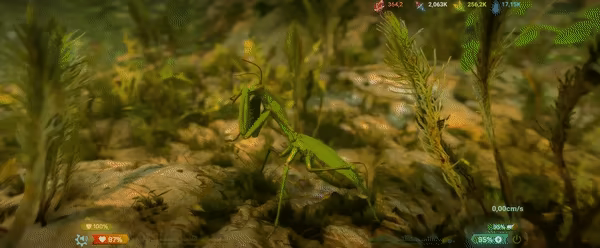 Insect Worlds video 6