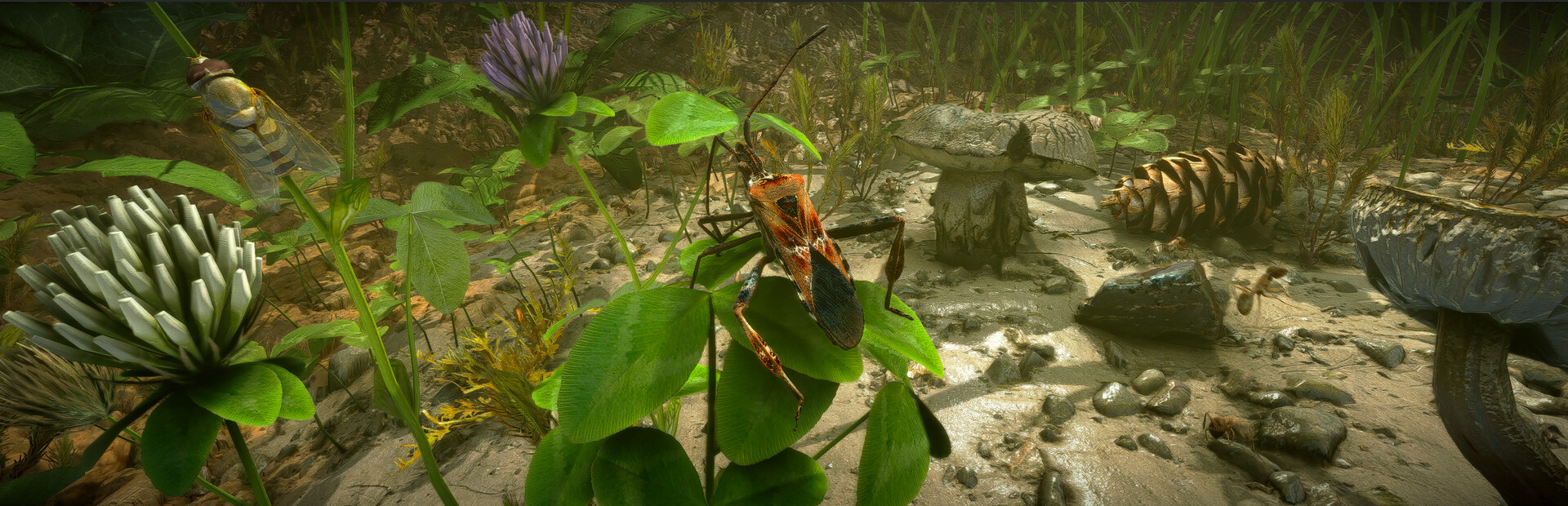 Insect Worlds