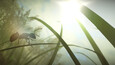Screenshot #9