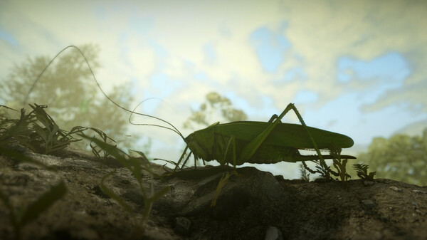 Insect Worlds screenshot 14
