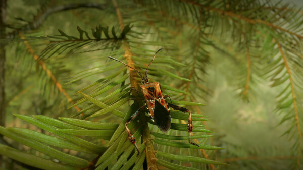 Insect Worlds screenshot 5