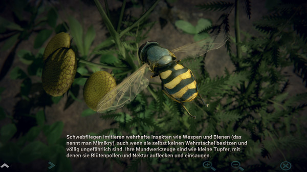 Insect Worlds screenshot 7