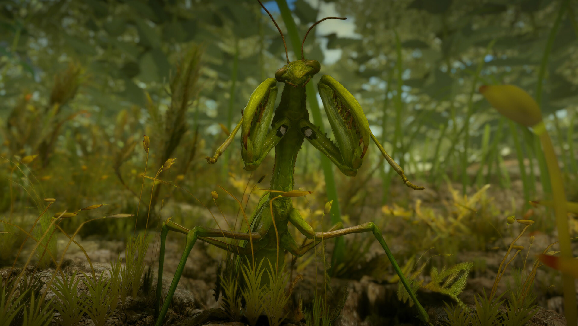 Insect Worlds screenshot #11