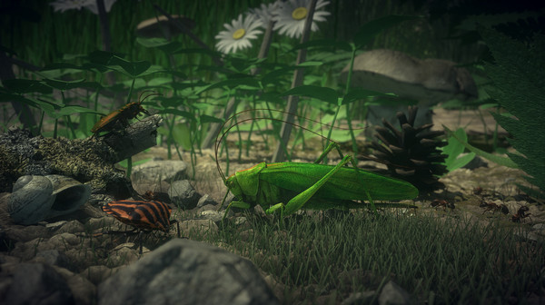 Insect Worlds screenshot 20