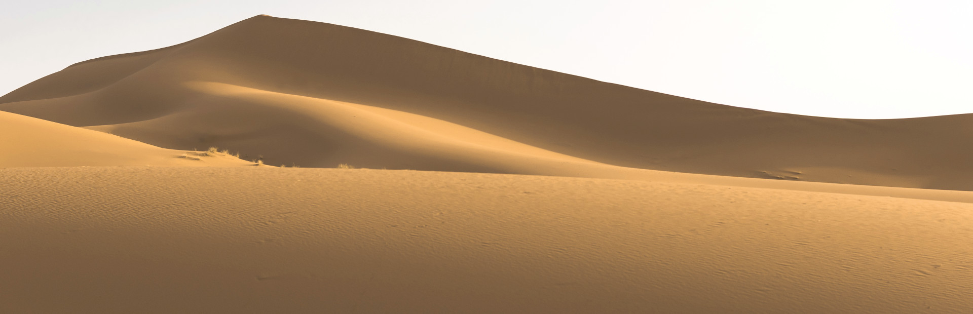 Maze Quest 2: The Desert