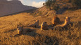 Screenshot #4